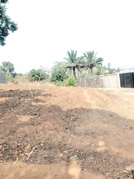 Terrains à vendre à Bafoussam