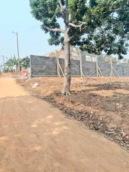 Terrains à vendre à Bafoussam
