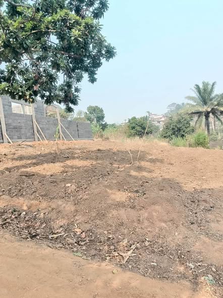 Terrains à vendre à Bafoussam
