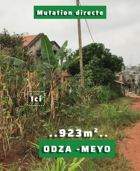 Terrain à vendre à Odza Meyo