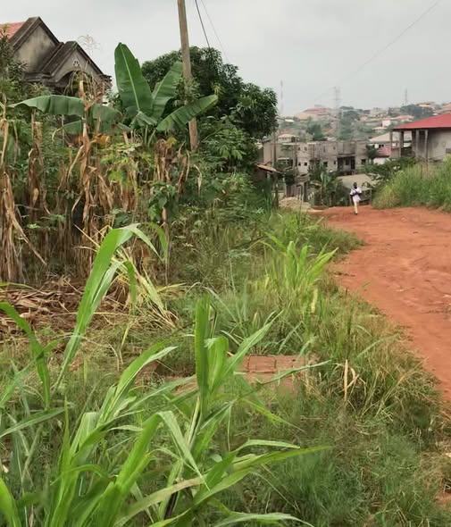 Terrain à vendre à Odza Meyo
