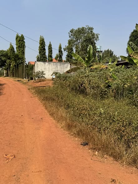 Terrain titré à vendre à Nkoabang