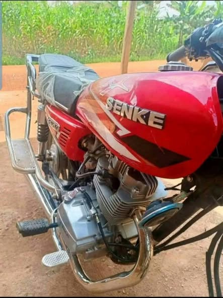 MOTO SENKE à vendre