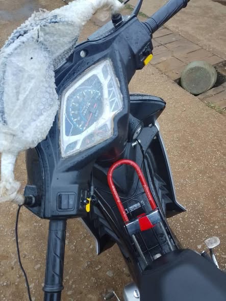Moto dame à vendre