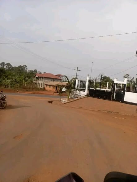 Terrain à vendre à Bafoussam