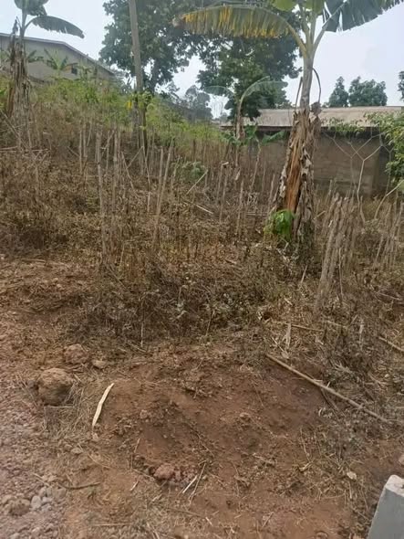 Terrain à vendre à Bafoussam