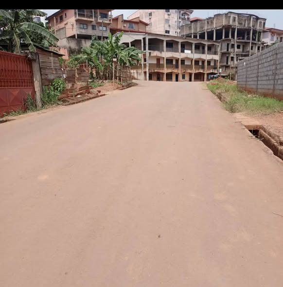 Terrain Titré à vendre à Yaoundé