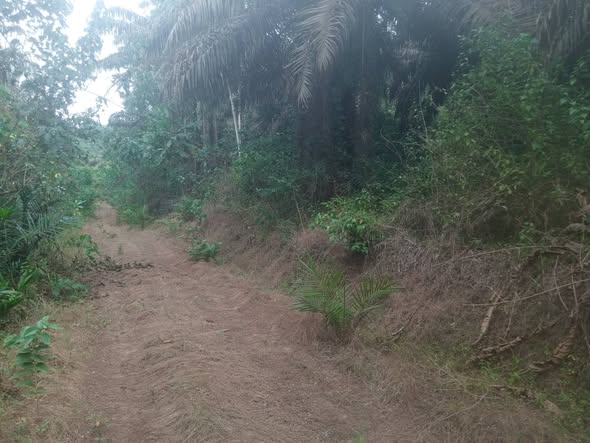 Terrain Titré de 6000m² à vendre à PK34