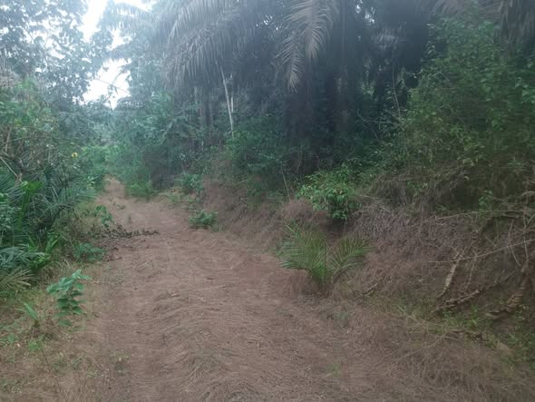 Terrain Titré de 6000m² à vendre à PK34