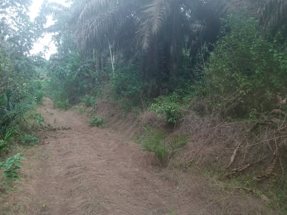 Terrain Titré de 6000m² à vendre à PK34
