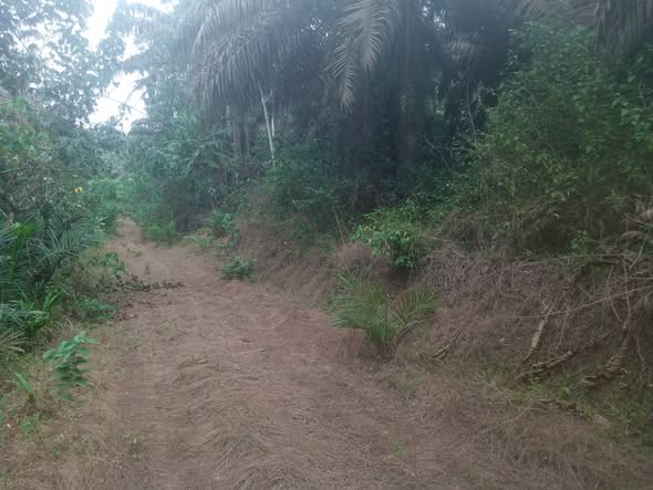 Terrain Titré de 6000m² à vendre à PK34