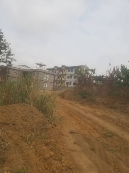 Hectare à vendre à Nkoabang