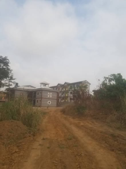 Hectare à vendre à Nkoabang