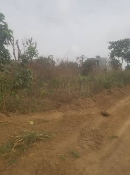 Hectare à vendre à Nkoabang
