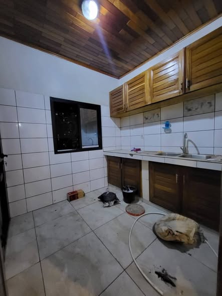 Appartement à louer à biyem-assi