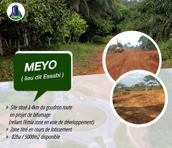 Offre exceptionnelle de terrain à Meyo