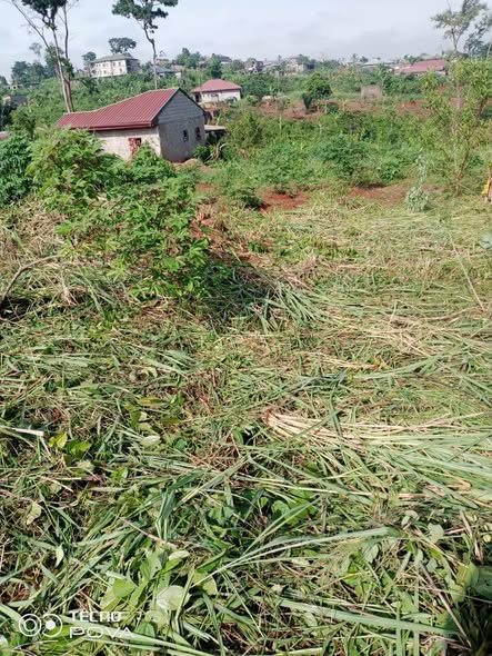 Terrain titré et loti à Nkoabang