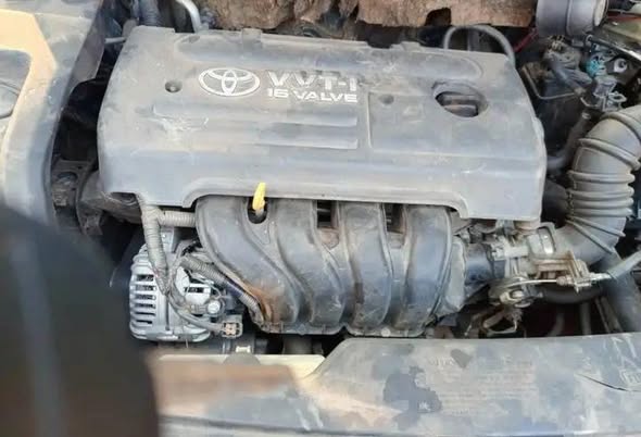 Avensis tête de cochon à vendre