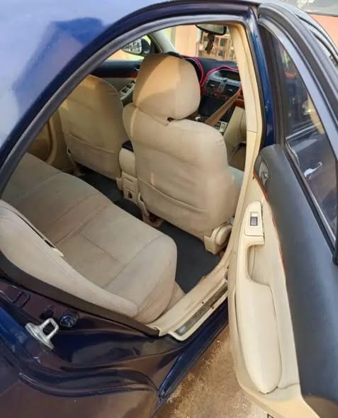 Avensis tête de cochon à vendre