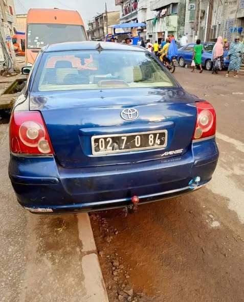 Avensis tête de cochon à vendre