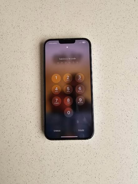 iPhone 13 Pro max occasion des USA