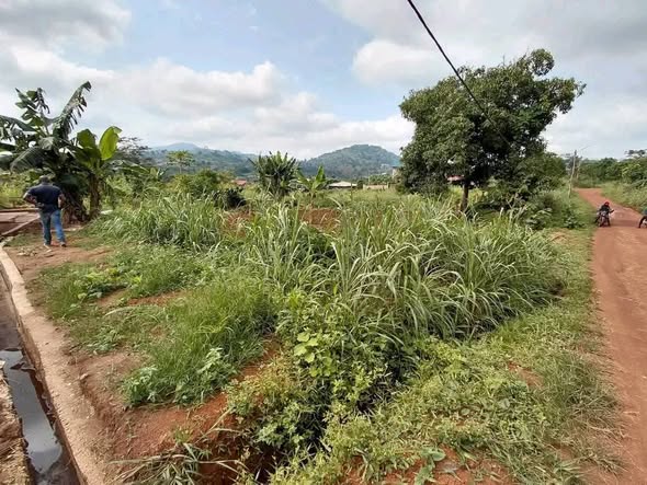 500m² à vendre à Nyom
