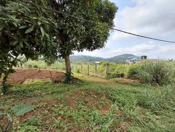 500m² à vendre à Nyom