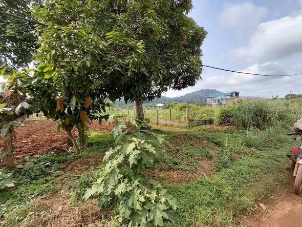 500m² à vendre à Nyom