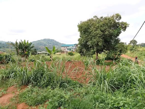 500m² à vendre à Nyom