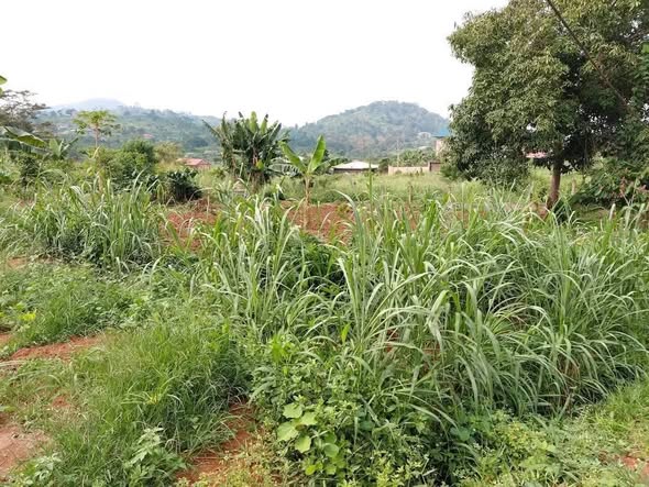 500m² à vendre à Nyom