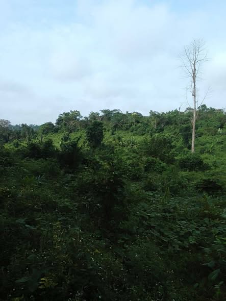 Lotissement à Massoumbou Pk 21