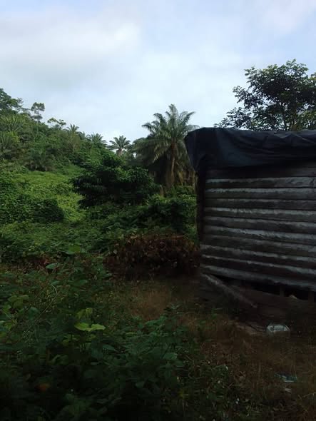 Lotissement à Massoumbou Pk 21