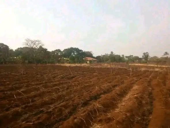 Terrain agricole à vendre à Bamessingue