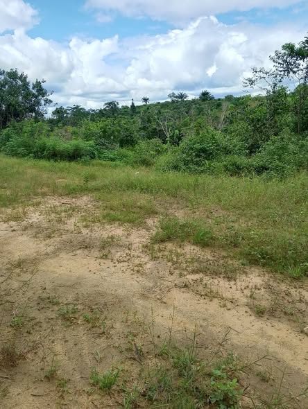 Terrain titré et Loti à vendre à Missolé 2