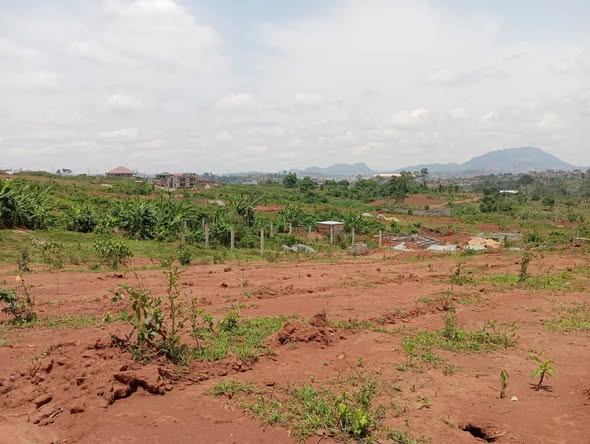 Terrain à vendre à TSINGA VILLAGE