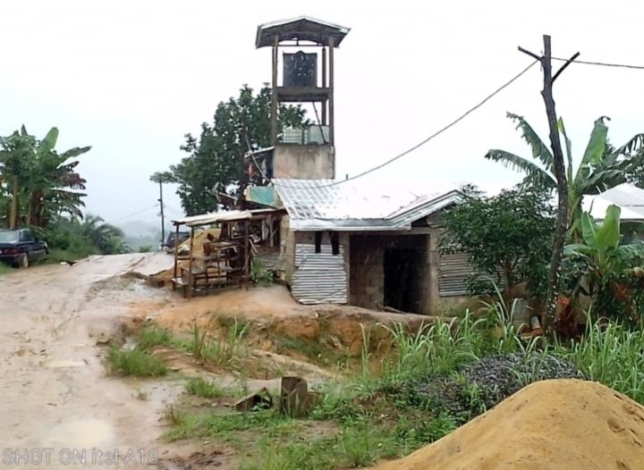 Terrain titré et loti à Douala PK 21