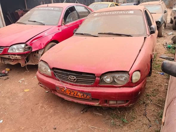 Cho Cho pour revendeurs à Yaoundé