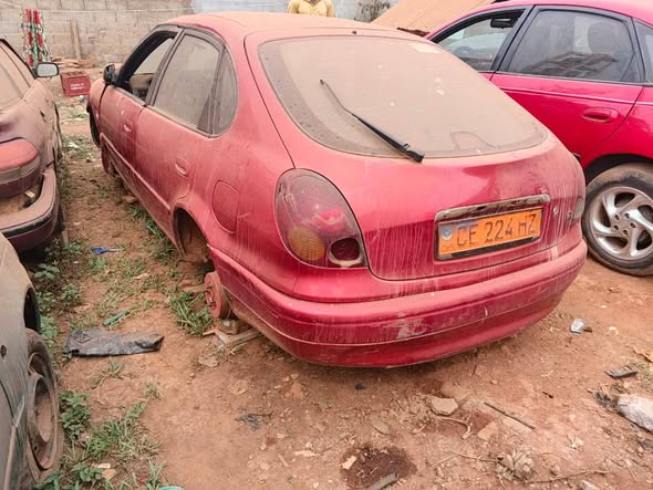 Cho Cho pour revendeurs à Yaoundé