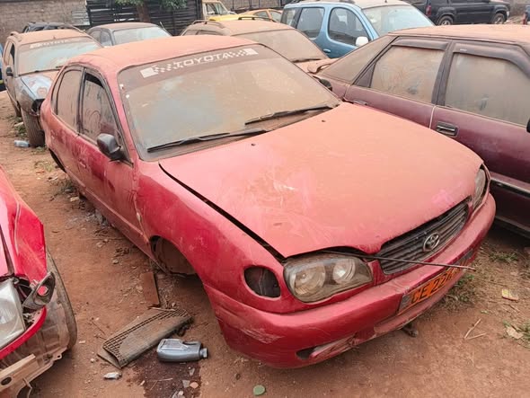 Cho Cho pour revendeurs à Yaoundé