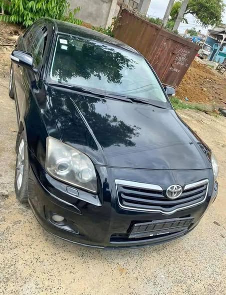 Avensis Tête de cochon à vendre