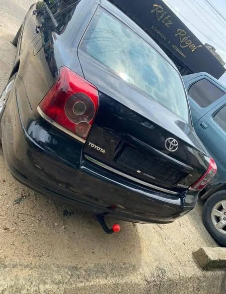 Avensis Tête de cochon à vendre