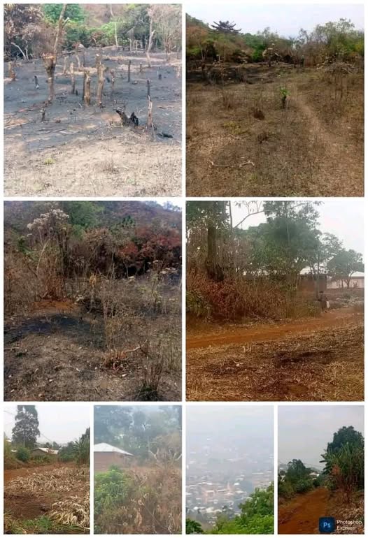 Land for Sale in Bamenda