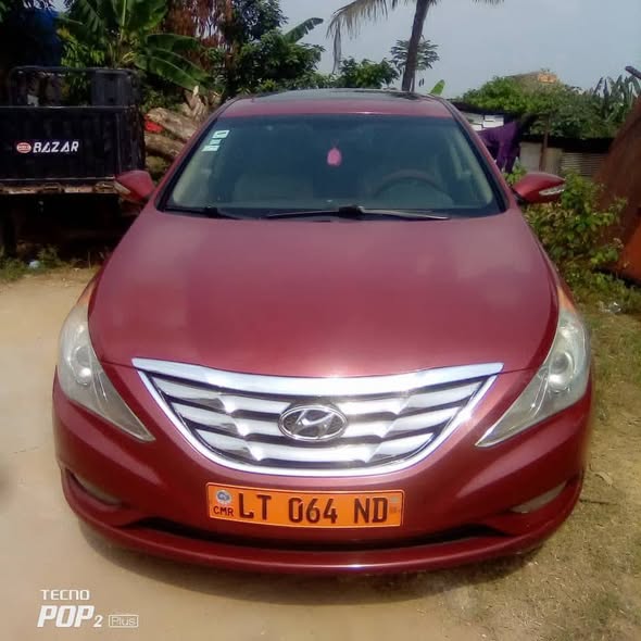 Hyundai Sonata 2011 à vendre