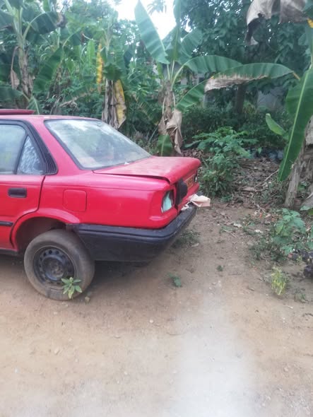 MB 100 for sale