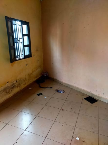 Chambres modernes à louer