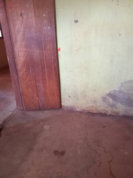 Appartement moderne à louer à Bafoussam