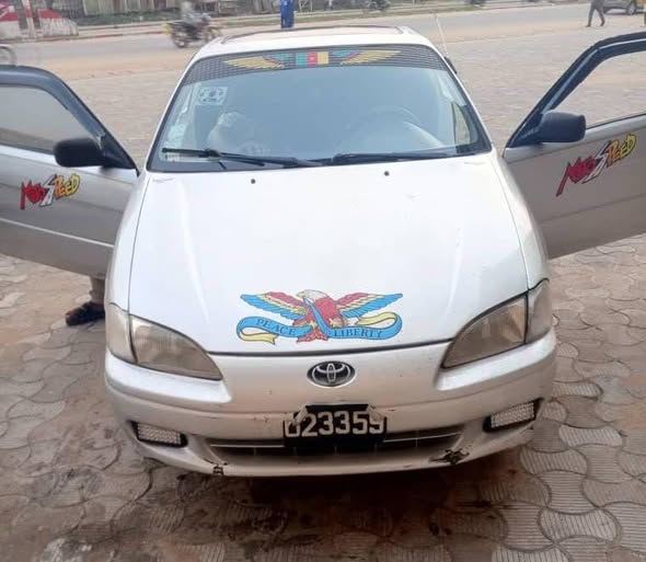 Toyota Paceo à vendre