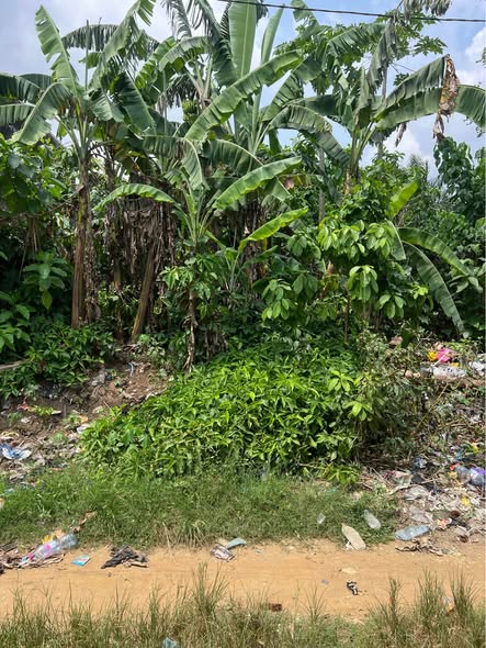 Terrain à vendre à Douala PK12