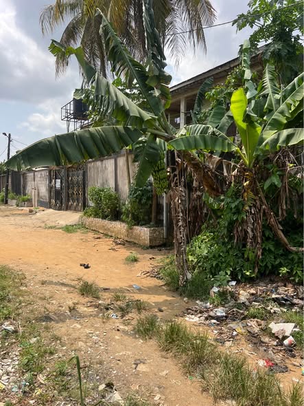 Terrain à vendre à Douala PK12
