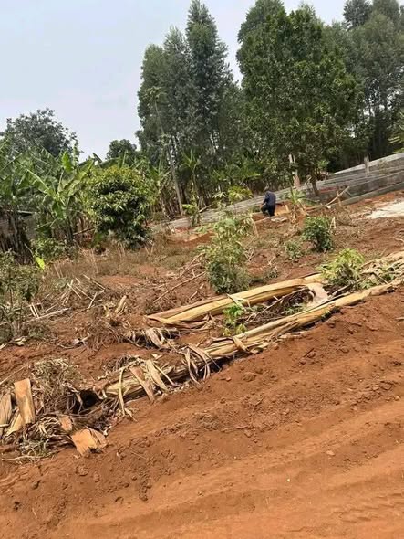 Terrain titré à vendre à Bafoussam